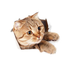 Load image into Gallery viewer, Toilet Stickers Wall